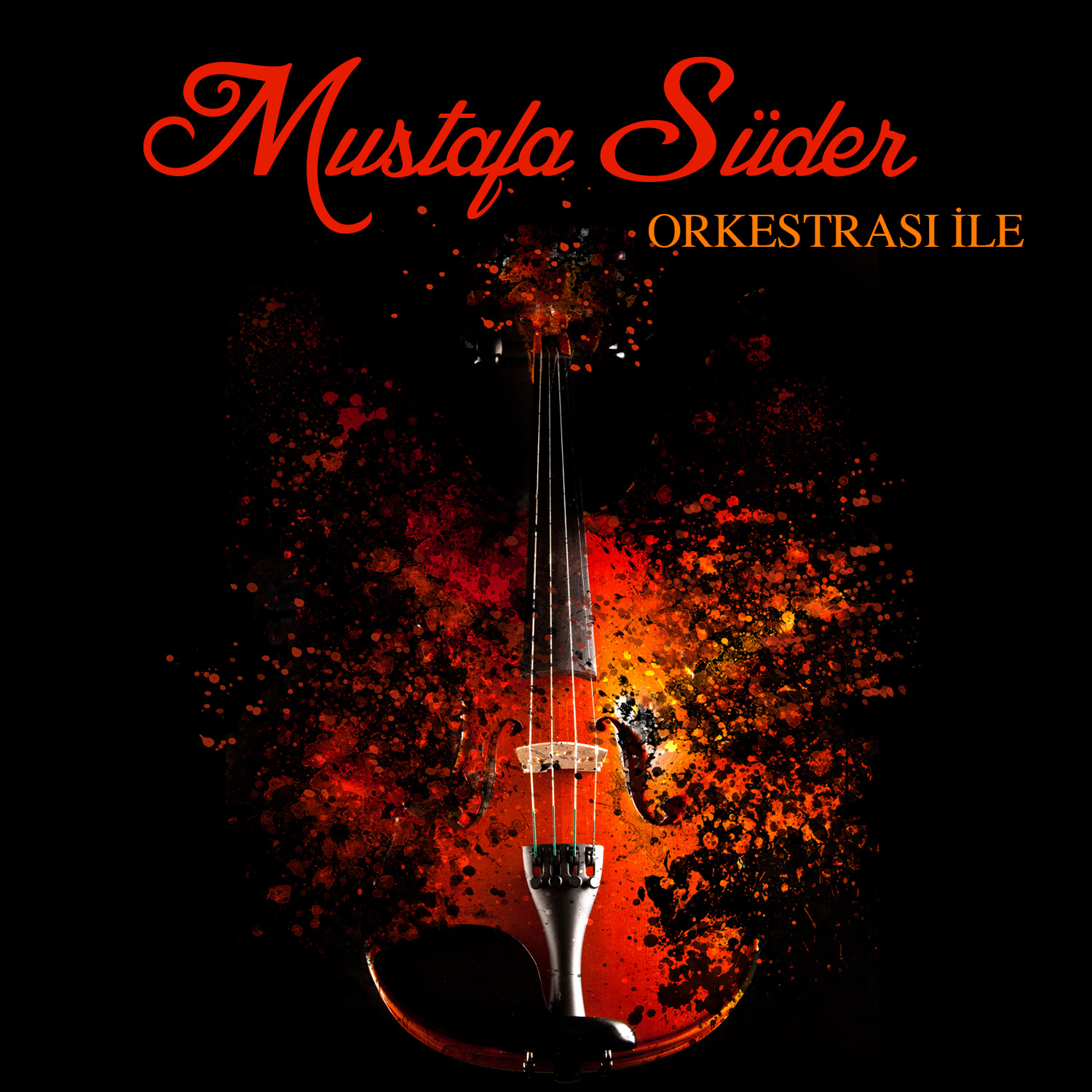 Mustafa Süder / Orkestrası İle (Enstrümantal)